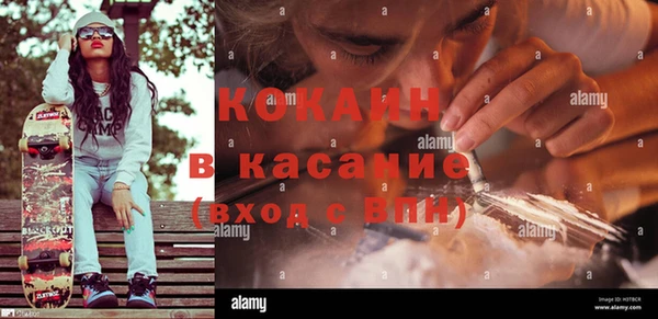 кокс Бородино