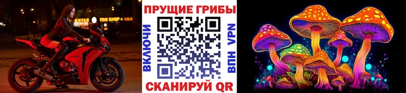 ОМГ ОМГ зеркало  Можайск  Псилоцибиновые грибы ЛСД 